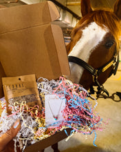 Load image into Gallery viewer, NEW $87 SILVER Variety Subscription - Turnback Pony ™ - Jewelry