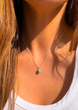 Load image into Gallery viewer, Signature Pony Necklace
