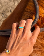 Load image into Gallery viewer, Chamberlain Rings - Turnback Pony ™ - Rings
