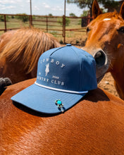 Load image into Gallery viewer, Daisy Hat Clip
