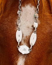 Load image into Gallery viewer, Dad’s Victoria 7 Stone Necklace
