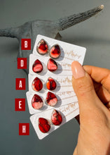 Load image into Gallery viewer, Luna Rose Earring - Turnback Pony ™ - Earring
