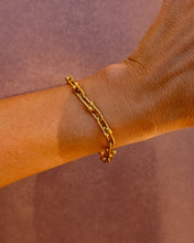 Load image into Gallery viewer, Blair Gold Bracelet or Necklace Chain
