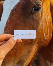 Load image into Gallery viewer, Yearling Studs
