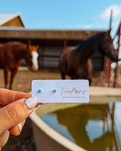 Load image into Gallery viewer, Yearling Studs
