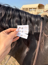 Load image into Gallery viewer, Wild Horse Studs - Turnback Pony ™ - Earring

