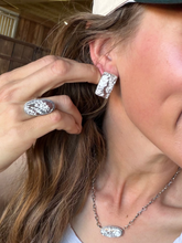 Load image into Gallery viewer, Roan Wild Horse Studs - Turnback Pony ™ - Earring
